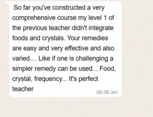 whatsapp_chat-10-300x230